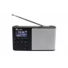 Tisch-DAB+ Radio Eltra Modell in Silber