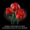 LEGO Icons Blumenstrauß aus Rosen Künstliche Blumen Set für Erwachsene Botanische Sammlung Wohnaccessoires Valentinstag Geschenk für Frauen