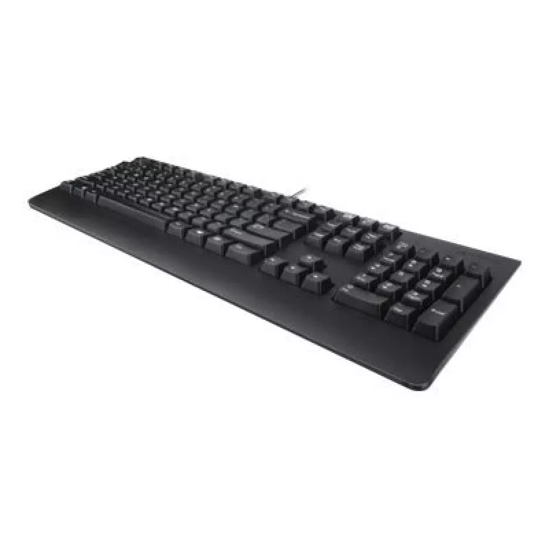 Lenovo 4X30M86918 Tastatur Office USB QWERTY US Englisch Schwarz