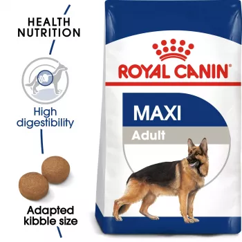 Trockenhundefutter Royal Canin SHN Maxi Adult 4 kg – Alleinfuttermittel mit Geflügel für große Rassen (25–45 kg), 26 % Protein
