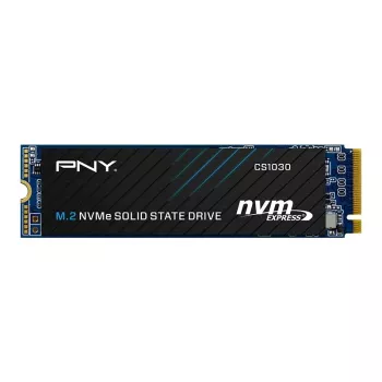 PNY CS1030 256GB M.2 2280 PCIe NVMe Gen3 x4 Interne Solid-State-Festplatte (Bulk)