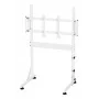 Oplite Nitrokart Monitorständer V2 Weiß - Stahl-Erhöhung mit integriertem Kabelmanagement, 15 kg Belastbarkeit