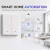 QOLTEC Smart Light Switch WiFi 2-Gang Timer Tuya Weiß