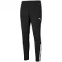 PUMA teamLIGA Trainingshose Herren Schwarz Größe L