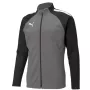 Puma teamLIGA Training Herren Trainings-Top mit Viertelreißverschluss Puma Black-Asphalt Größe L