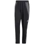 adidas Tiro 24 Competition Präsentationshose für Herren - Schwarz/Grau (S)