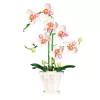 LEAN TOYS Orchidee Bausteine Orchidee im Topf Rosa und Weiß 718 Teile