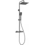 DEANTE Neo Thermostatische Duschsystem mit 250mm Regenduschkopf und Handbrause, Chrom