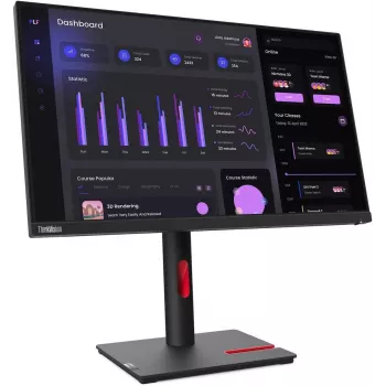 Lenovo T24I-30 Monitor
