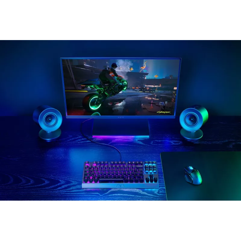 Razer Lautsprecher RZ05-04760100-R3G1 / Nommo V2 X Schwarz