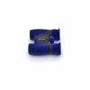 Kodak BCS100 Fernglas 8x21mm Blau