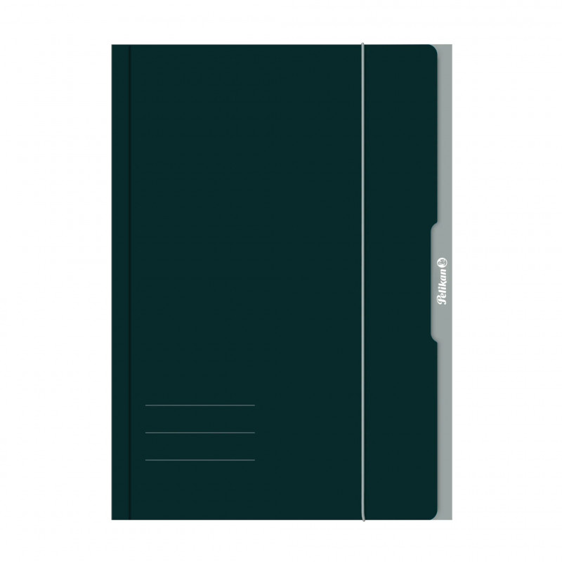 Pelikan 276856 Umlaufmappe A3 Karton Grün