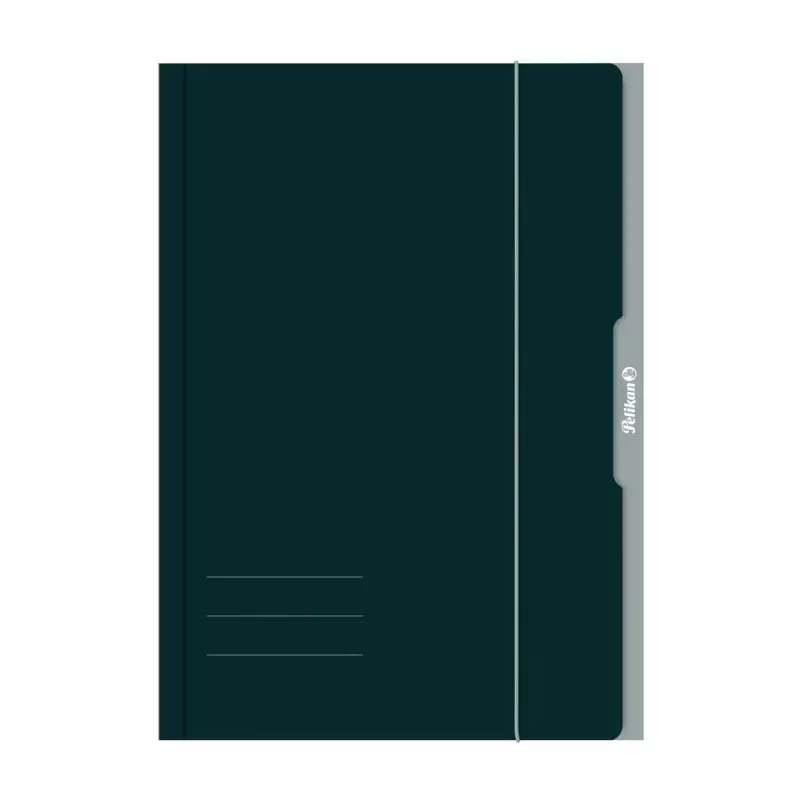Pelikan 276856 Umlaufmappe A3 Karton Grün