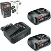 Bosch 18V Starter Set 2 x 2,5 Ah Akkus + AL 18V-44 Ladegerät (1600A031T5)