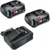 Bosch 18V Starter Set 2 x 2,5 Ah Akkus + AL 18V-44 Ladegerät (1600A031T5)