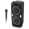 MEDION PE-1 Pure Party Speaker Schwarz - Bluetooth 5.0, 40W RMS, 2x 6,5 inch Lautsprecher, Karaoke, TWS, LED-Lichter, Powerbank