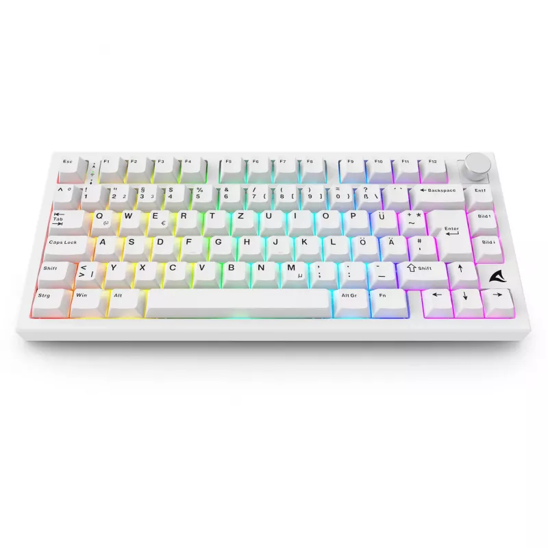 Sharkoon SGK55W SKILLER Wireless Gaming Keyboard, 75% Layout, PBT Keycaps, Weiß