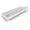 Sharkoon SGK55W SKILLER Wireless Gaming Keyboard, 75% Layout, PBT Keycaps, Weiß