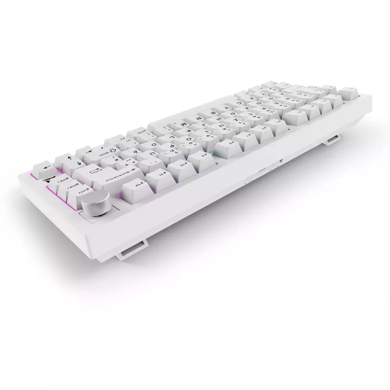 Sharkoon SGK55W SKILLER Wireless Gaming Keyboard, 75% Layout, PBT Keycaps, Weiß