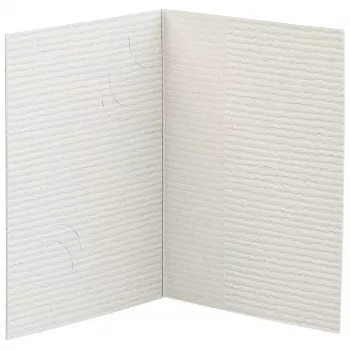 DAIBER Folder Passport Photograph, 3 Sizes, Grey, 100 Pieces