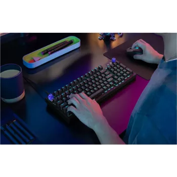Logitech G316 X 98 Tenkeyless Mechanische Gaming-Tastatur - LIGHTSPEED Wireless - GX Brown Tactile - Schwarz - Deutsches Layout