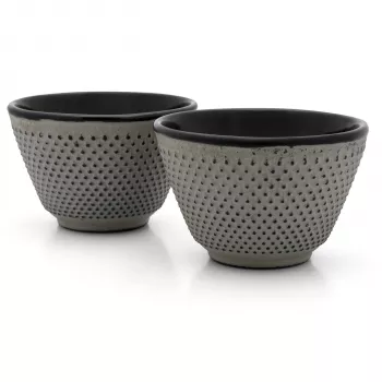 Bredemeijer Jang Cast Iron Teacup Set 2x 100 ml Grey