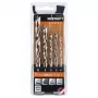 ALPEN-MAYKESTAG Alpen HSS-Cobalt PCTM 5-teiliger Bohrer-Set