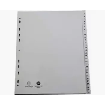 Exacompta 2931E A4 Maxi Ordnerregister 1–31, grau