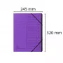 Exacompta Organisationsmappe 12 Fächer Violett Colorspan