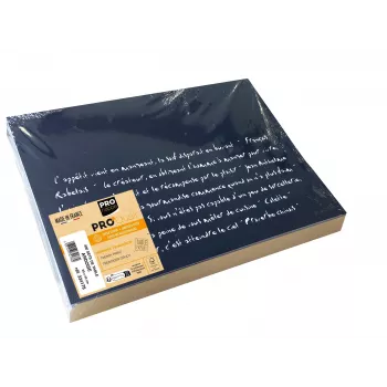 PROnappe 400 Untersetzer Schiefer Schwarz 30,0 x 40,0 cm