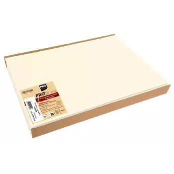 PROnappe Einweg-Tischset Spunbond 400 x 300 mm, Ivory, PP