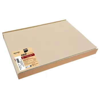 PROnappe 100 Tischsets Braun 30,0 x 40,0 cm