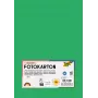 Folia 614/50 54 - Grün - Einfarbig - A4 (210 x 297 mm) - 300 g/m² - 50 Blatt - Deutschland