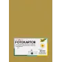 Folia 614/50 65 - Gold - Solid Color - A4 (210 x 297 mm) - 300 g/m² - Matt - 50 Blatt