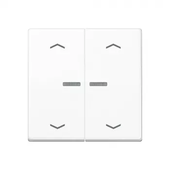 JUNG Home Taster 2-fach Bluetooth AS 17102 P WW