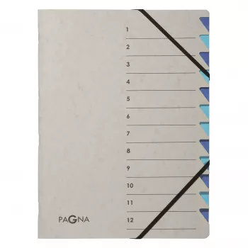 Pagna 44312-02 Ordnungsmappe, 12 Fächer, A4, grau