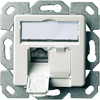 Telegärtner AMJ45 Datenanschlussmodul Cat5e 2xRJ45 geschirmt Weiß