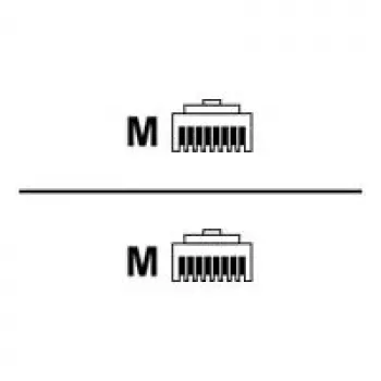 Rittal DK CMC III CAN-Bus Verbindungskabel - Netzwerkkabel - RJ-45 Stecker zu RJ-45 Stecker - 1,5 m (7030.092)