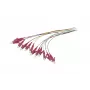 Synergy 21 LWL-Pigtail LC 50/125 µm OM4 2 m 12er-Pack farbig