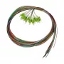 SYNERGY21 LC Pigtail 50/125µm OM5 2m 12er-Pack farbcodiertes Innenkabel