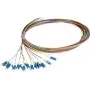 Synergy 21 S215475V2 Fiber Optic Pigtail 2 m LC/UPC OS2 12-Pack Colored