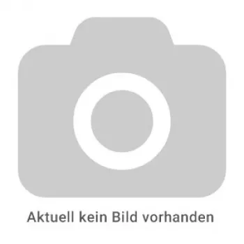REINER Paginierstempel Modell B6 - Automatische Nummeriermaschine, 6-stellig, 4,5 mm, Schwarz