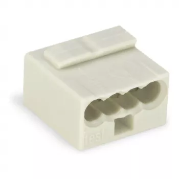 WAGO 243-304 PUSH WIRE® Verbinder 2-Leiter 100V 24A Transparent