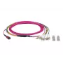 EFB-Elektronik MTP-F/LC 8-Fiber Matrix Patchkabel OM4, LSZH, Erika Violett, 10m