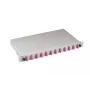 EFB Elektronik B71203L24OM4 Glasfaser-Spleißbox SC 50/125µm OM4 ausziehbar, 24 Pigtails / 12 Adapter