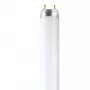 OSRAM L T8 36W/840 G13 Leuchtstofflampe 1200mm 4000K Kaltweiß