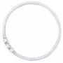 OSRAM LUMILUX T5 FC Circular Fluorescent Lamp 40W 830 2GX13 Warm White 3000K