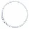 OSRAM LUMILUX T5 FC Ring-Leuchtstofflampe 55W 865 Tageslicht 2GX13