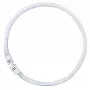 OSRAM LUMILUX T5 FC Ring-Leuchtstofflampe 55W 865 Tageslicht 2GX13