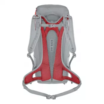 Salewa Alp Mate 30 Damen-Wanderrucksack - Alloy